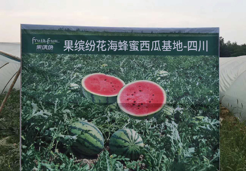水果加盟供应基地